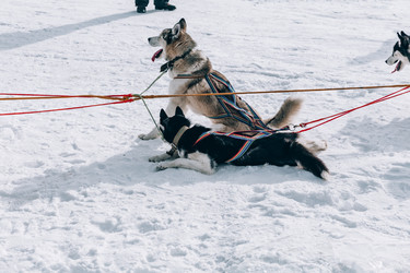 Similar image 22281898