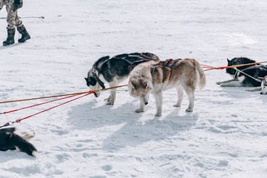 Similar image 22281899