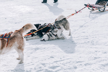 Similar image 22281900