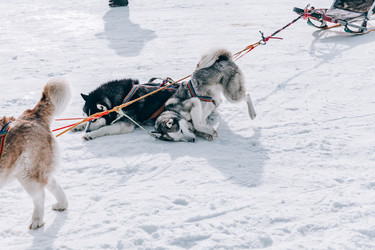 Similar image 22281901