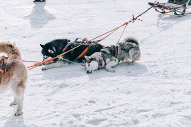 Similar image 22281902