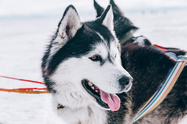 Similar image 22281905