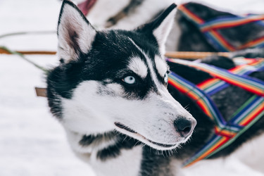 Similar image 22281907