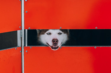 Similar image 22281908