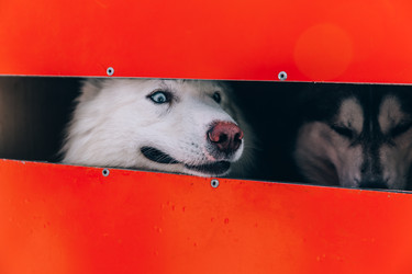 Similar image 22281909