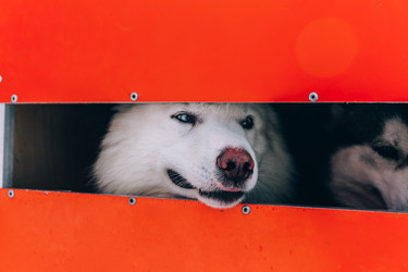 Similar image 22281910