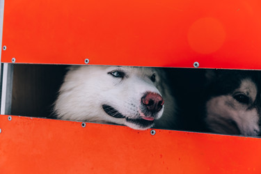 Similar image 22281911