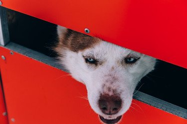 Similar image 22281913