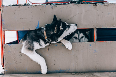 Similar image 22281914