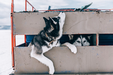 Similar image 22281915