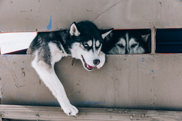 Similar image 22281916