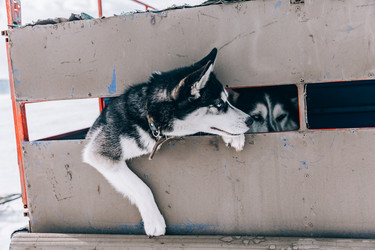 Similar image 22281917