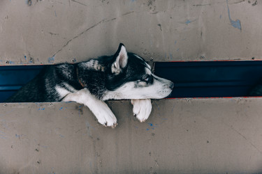 Similar image 22281919