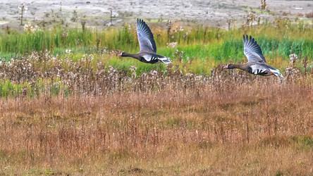 Similar image 22253505