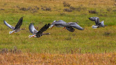 Similar image 22253506