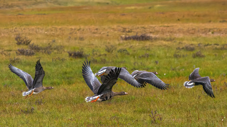 Similar image 22253507