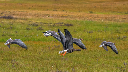 Similar image 22253508