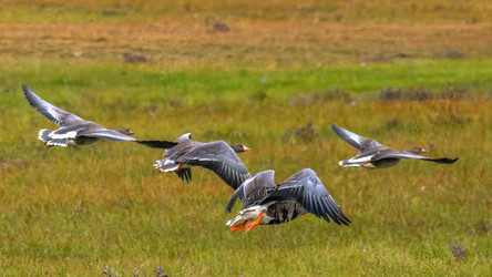 Similar image 22253330