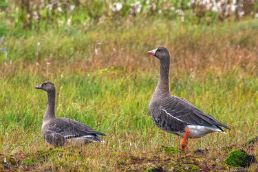 Similar image 22253333