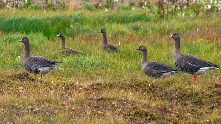 Similar image 22253334