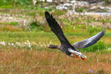 Similar image 22253335