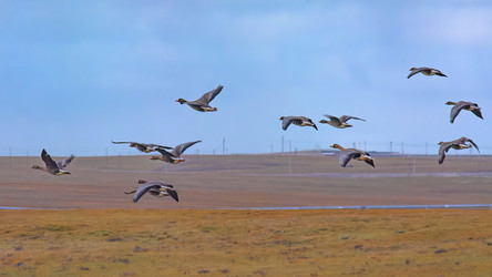 Similar image 22253336