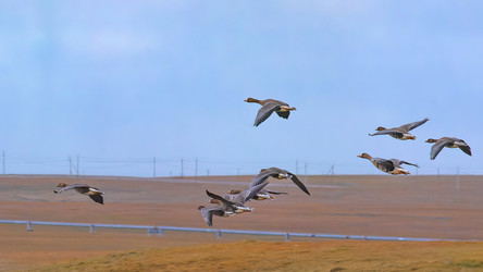 Similar image 22253337