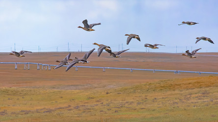 Similar image 22253338