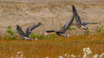 Similar image 22253340