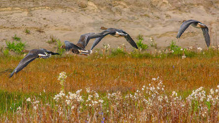 Similar image 22253341