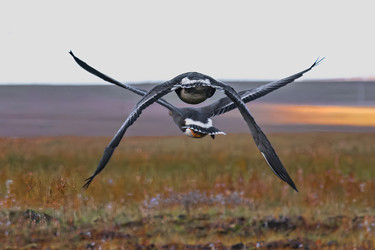 Similar image 22253343