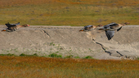 Similar image 22253345