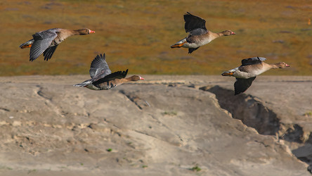 Similar image 22253346