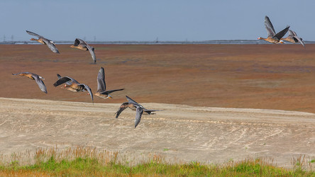 Similar image 22253347