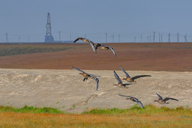 Similar image 22253348