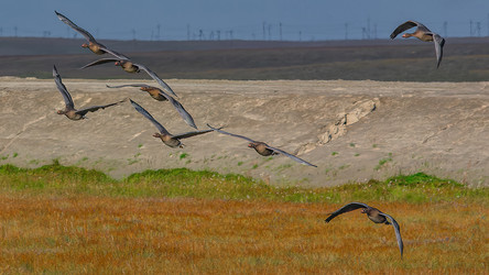 Similar image 22253349