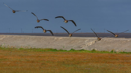 Similar image 22253350