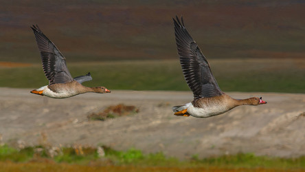 Similar image 22253352