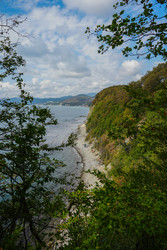 Similar image 22251524