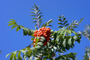 Similar image 22282935