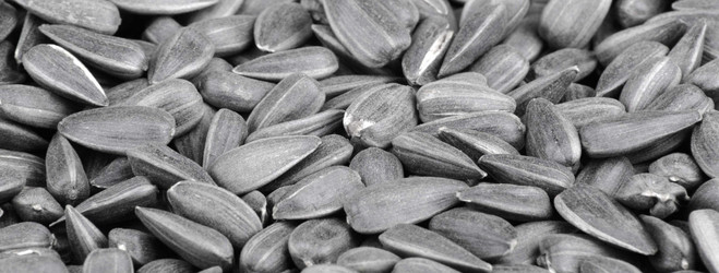 Similar image 22282937