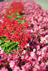 Similar image 22282938