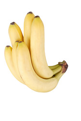 Similar image 22282940