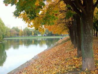 Similar image 22282944