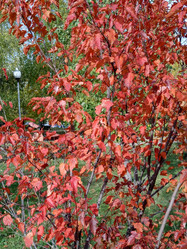 Similar image 22282965