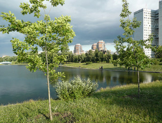 Similar image 22282966