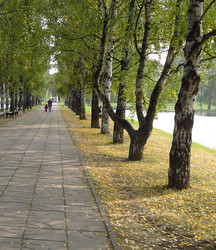 Similar image 22282967