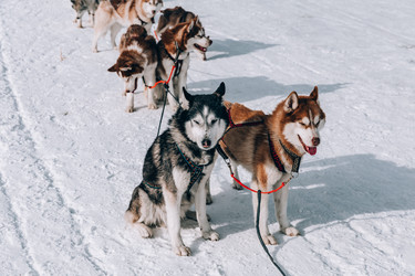 Similar image 22281923