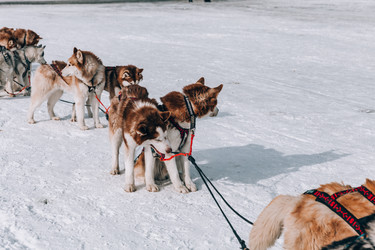 Similar image 22281924