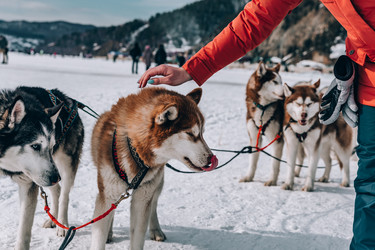 Similar image 22281925